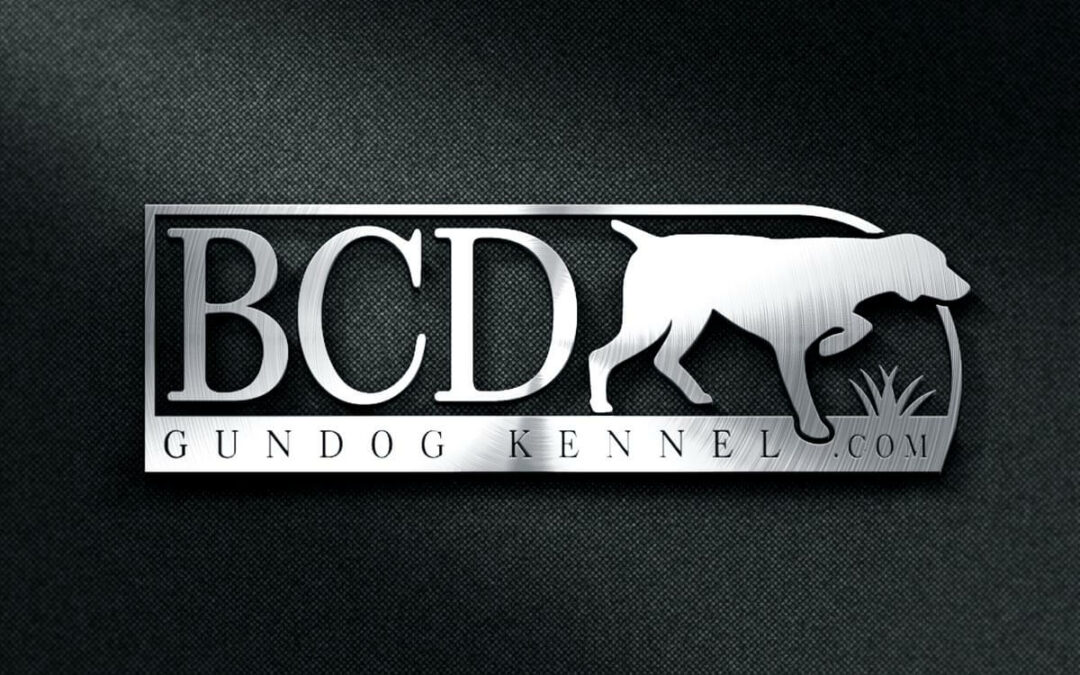BCD Gundog Kennel Logo